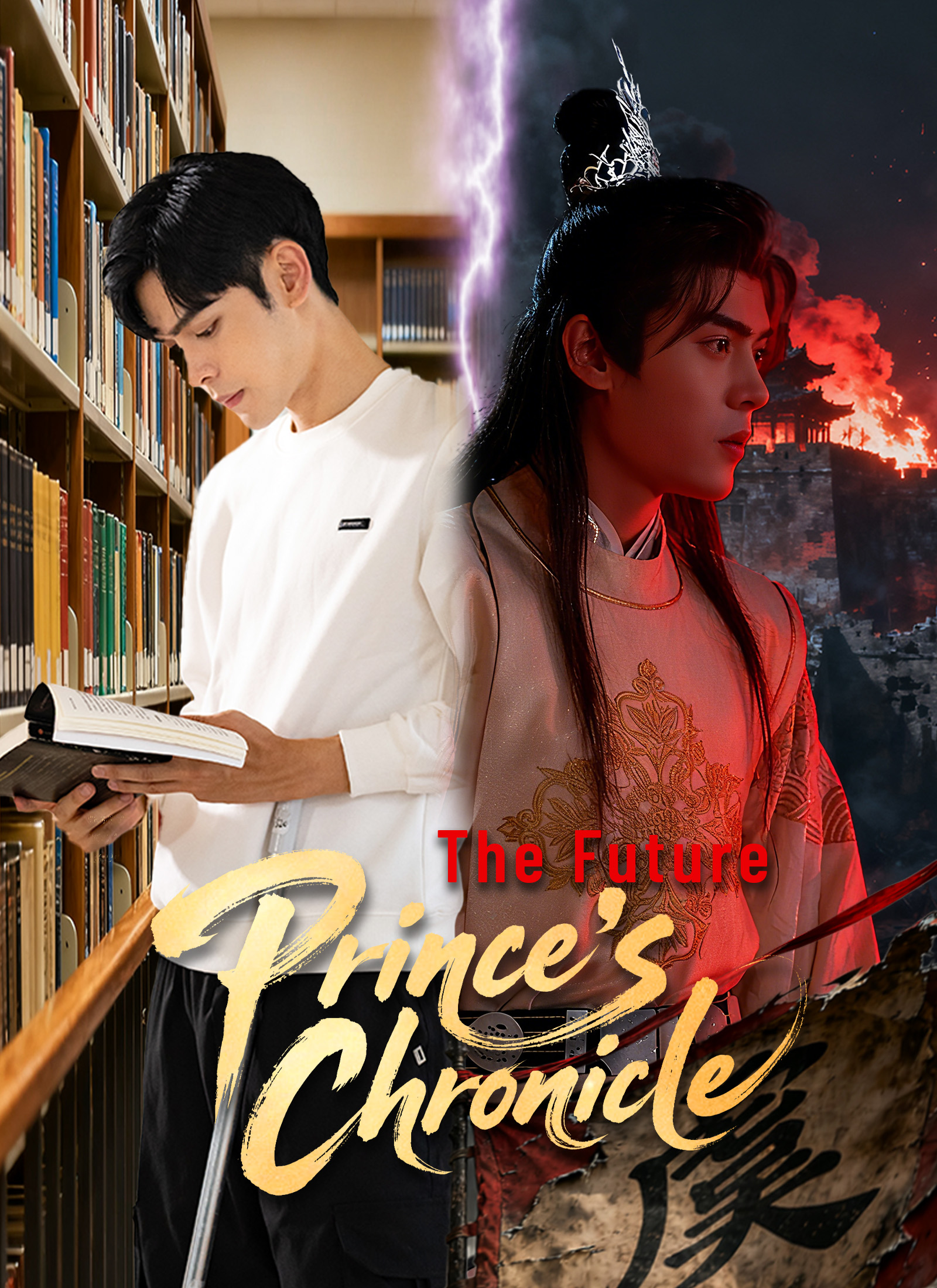 The Future Prince's Chronicle cover